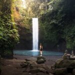 Best of Ubud: Waterfalls, Temple & Rice Terraces Private Day Tour - The Experience from Traveler Feedback
