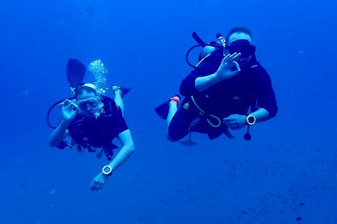 Best Scuba Diving Koh Tao Top Sites from Koh Samui - What Makes This Tour Stand Out