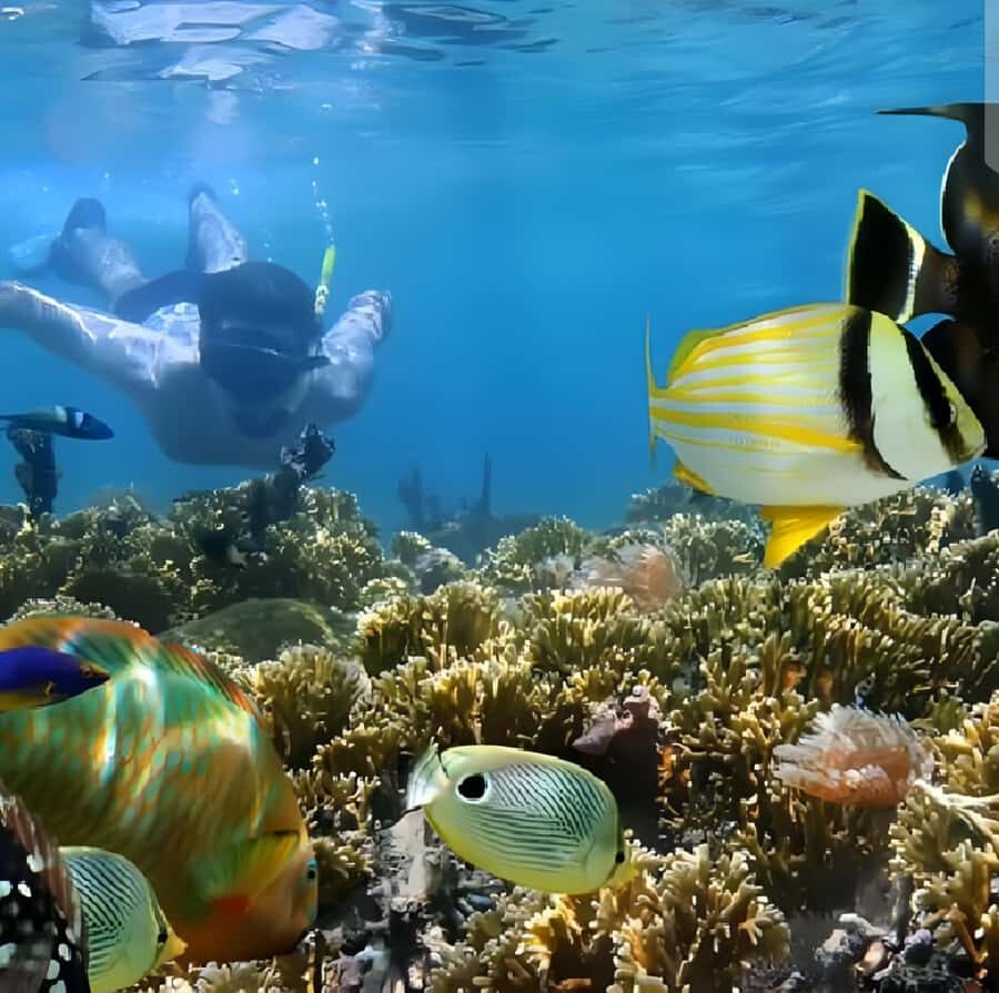 Best Snorkeling Adventure in Bali with Exciting Activities - Real Experiences: What Tourists Say