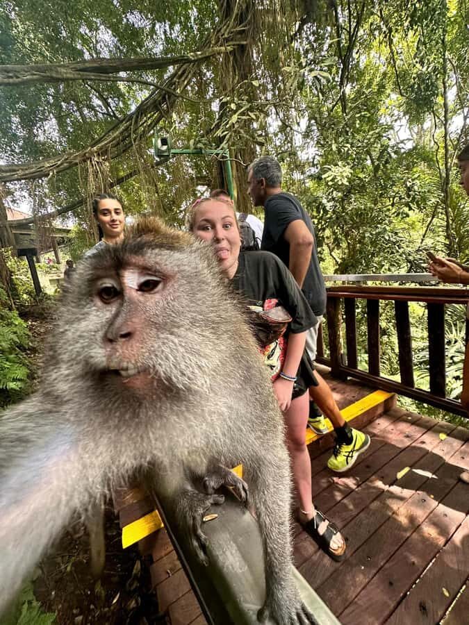 Best Ubud Tour - Ubud Instagramable Tour - In-Depth Breakdown of the Itinerary