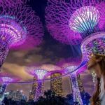 Best-Value 2-in-1 Combo Eat By Day, Shows By Nights - Practical Details and What You Need to Know