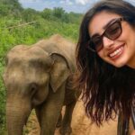 Best Value Yala Safari: Spot Leopards, Elephants & Bears (Shared) - Good To Know