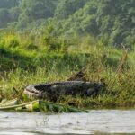 Bharatpur: 20000 Lake Guided Tour by Guide in Bicycle - Practical Details & What to Bring
