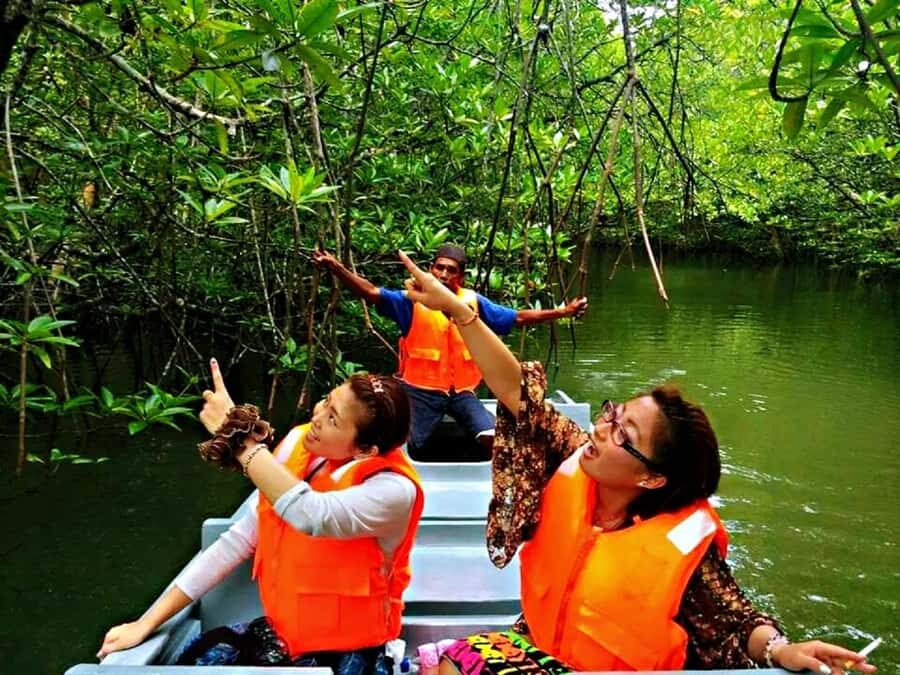 Bintan: Mangrove Discovery Boat Tour - What to Expect from the Mangrove Discovery Boat Tour