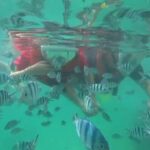 Bintan Snorkeling - What to Expect from the Itinerary