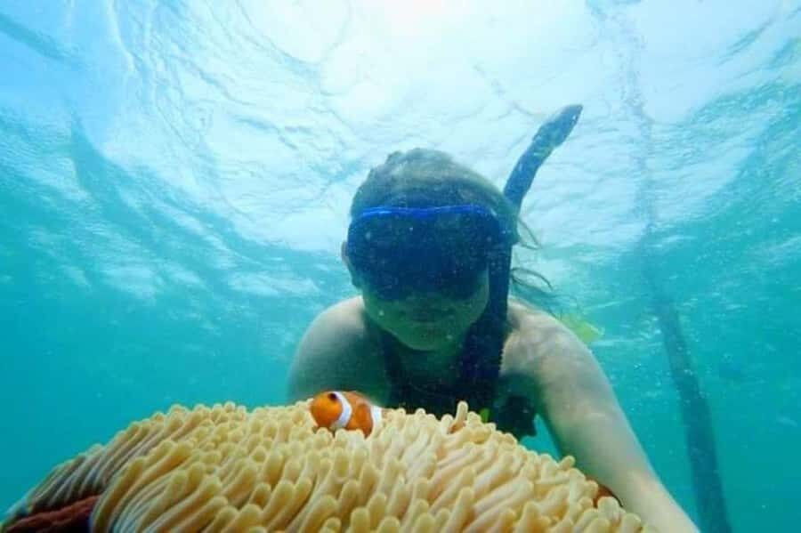 Bintan: Snorkeling, Kayaking, and Fishing Tour - Transport, Duration, and Group Size