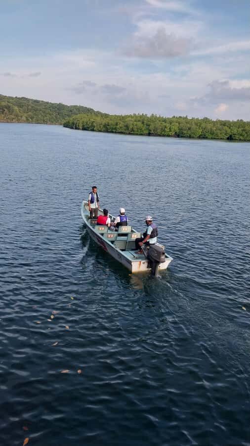 Bintan Tour Mangrove or Fireflies - The Itinerary Breakdown