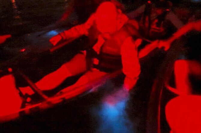 Biobay Vieques Tour Kayak Night Tour - What to Expect from the Tour