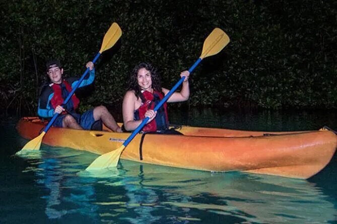 Bioluminescent Bay Kayak Tour in Fajardo Puerto Rico - What to Expect from the Bioluminescent Bay Kayak Tour