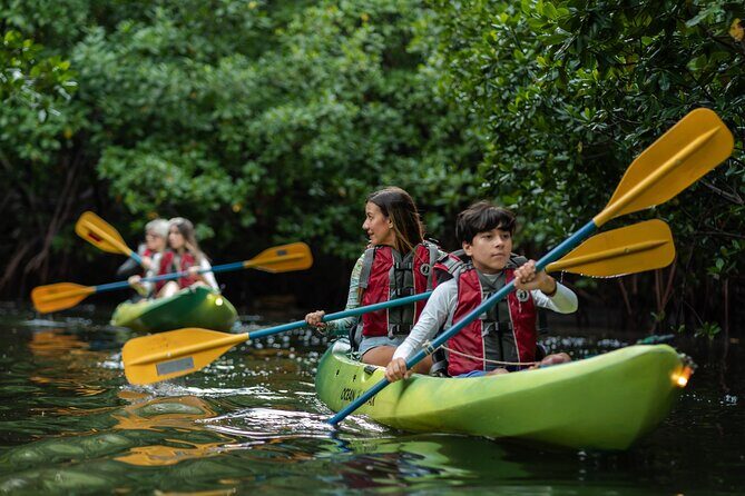 Bioluminescent Bay Night Kayaking Adventure in Puerto Rico - Is It Worth It?