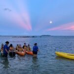 Bioluminescent Bay Night Kayaking, Fajardo - Good To Know