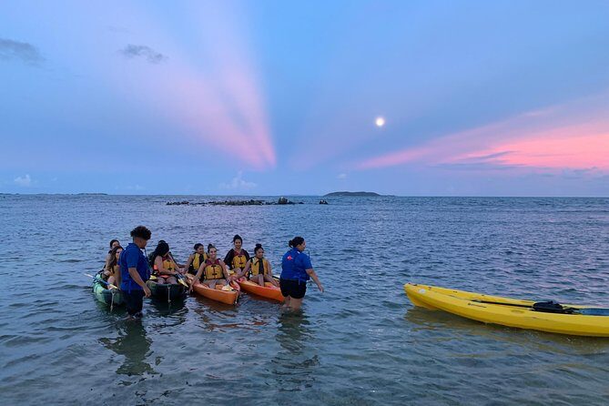 Bioluminescent Bay Night Kayaking, Fajardo - Good To Know