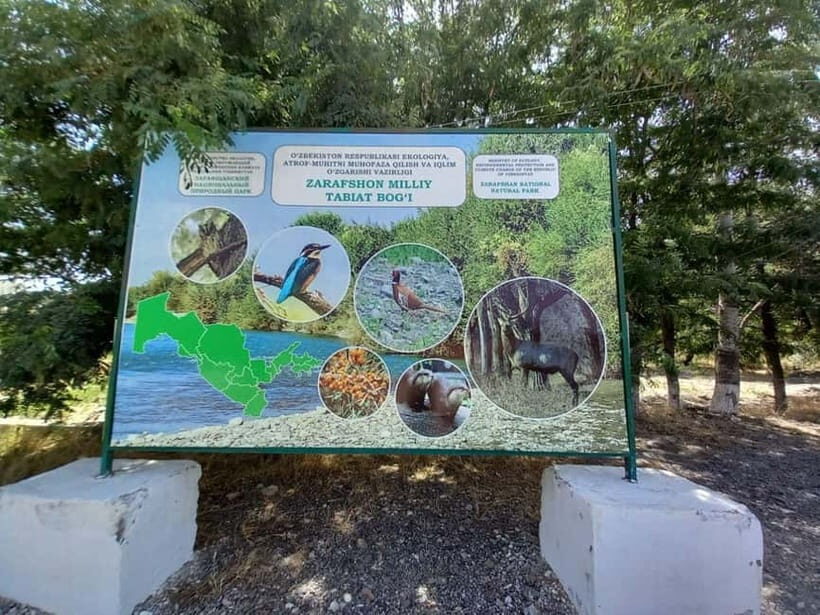 Bird Watching Tours in Samarkand - Why Uzbekistan is a Top Birdwatching Destination