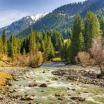 Bishkek & Ala-Archa: Legends, Flavors, Culture & Nature - Kyrgyz Culture and Hospitality in a Yurt