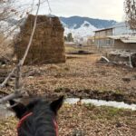 Bishkek : Chon-Kemin Valley Horseback Riding & Burana Tower - Practicalities and What to Bring