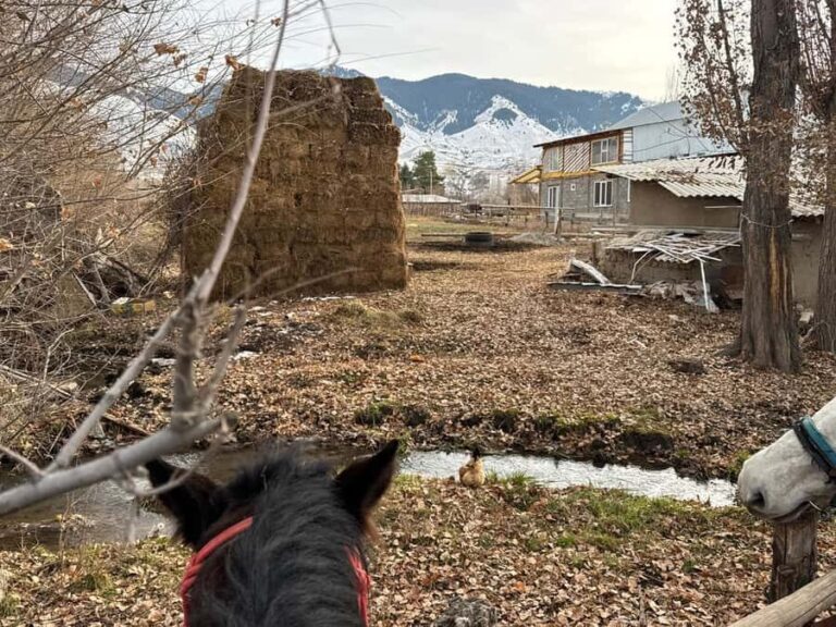 Bishkek : Chon-Kemin Valley Horseback Riding & Burana Tower - Practicalities and What to Bring