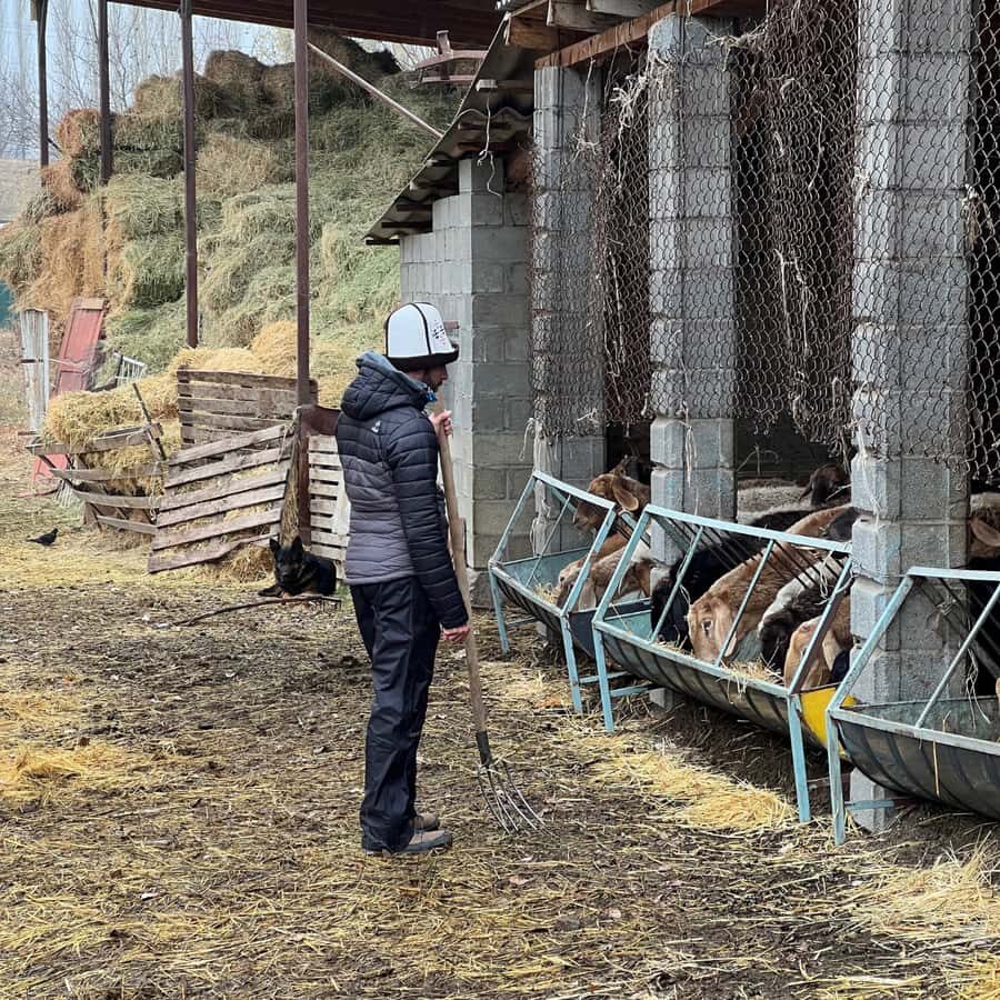 Bishkek: Horseback Ride & Shepherds Farm Cooking Experience - Practical Details: What You Should Know