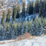 Bishkek:(3 Days) to Explore Nature, History & Nightlife - Transportation, Group Size, and Practical Details