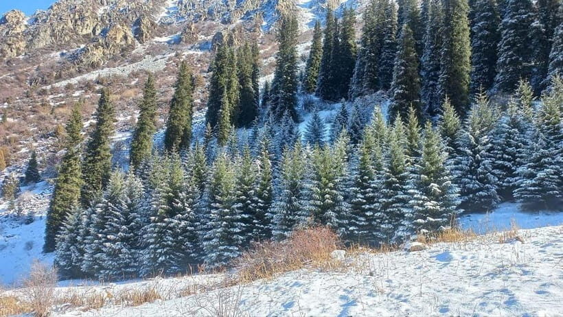 Bishkek:(3 Days) to Explore Nature, History & Nightlife - Transportation, Group Size, and Practical Details