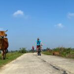 Bites by Bike a Hoi An Food Tour - Practical Details