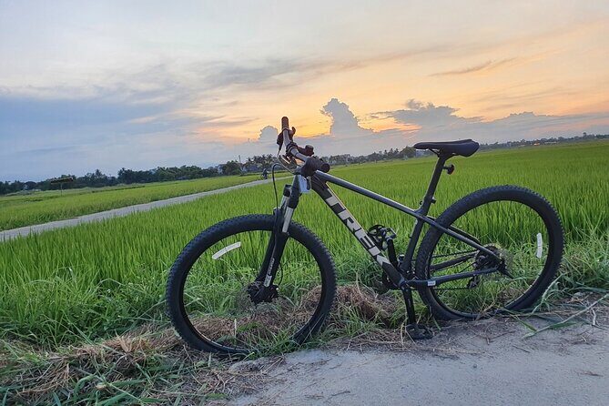 Bites by Bike a Hoi An Food Tour - Final Thoughts: Is It Worth It?
