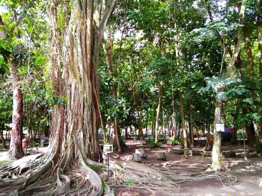 Blitar: Guided City Tour with Cycling and Toy Painting - Authentic Experiences & Hidden Details  