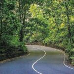 Blue Hole Secret Falls & O/Rios Highlight View Scenic Fern Gully - A Deep Dive into the Tour Experience