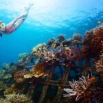 Blue lagoon Snorkeling Tour with Lunch & Private Transfers - The Experience in Detail