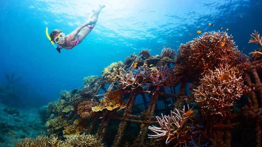 Blue lagoon Snorkeling Tour with Lunch & Private Transfers - The Experience in Detail