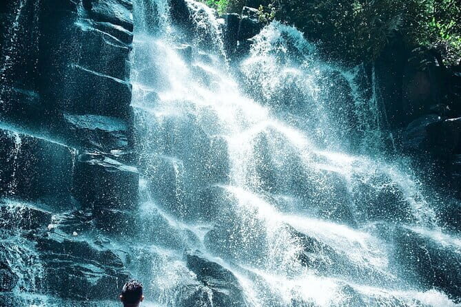 Blue Lagoon & Tanjung Jepun snorkeling with Kanto Lampo WaterFall and Monkey bar - Who Should Consider This Tour?