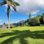 Blue Mountain Coffee Hike and Tour - What Sets This Tour Apart?