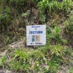 Blue Mountain Sight-Seeing & Nature Trail Hike with Private Guide - Why This Tour Is Worth It