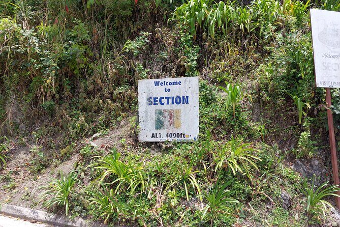 Blue Mountain Sight-Seeing & Nature Trail Hike with Private Guide - Why This Tour Is Worth It