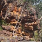 Blue Mountains 3 Hour Guided Eco Tour - close to Sydney - Practical Details: What to Expect and How to Prepare