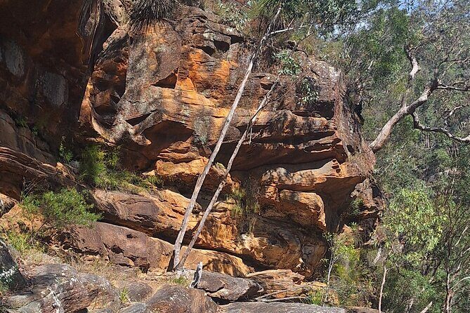 Blue Mountains 3 Hour Guided Eco Tour - close to Sydney - Practical Details: What to Expect and How to Prepare