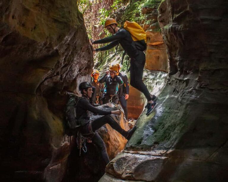 Blue Mountains: Abseiling and Canyoning Experience - The Sum Up: Who Will Love This Tour?