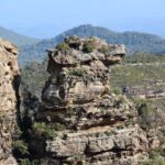 Blue Mountains: Bespoke Private Day Tour from Sydney - How the Tour Works in Practice