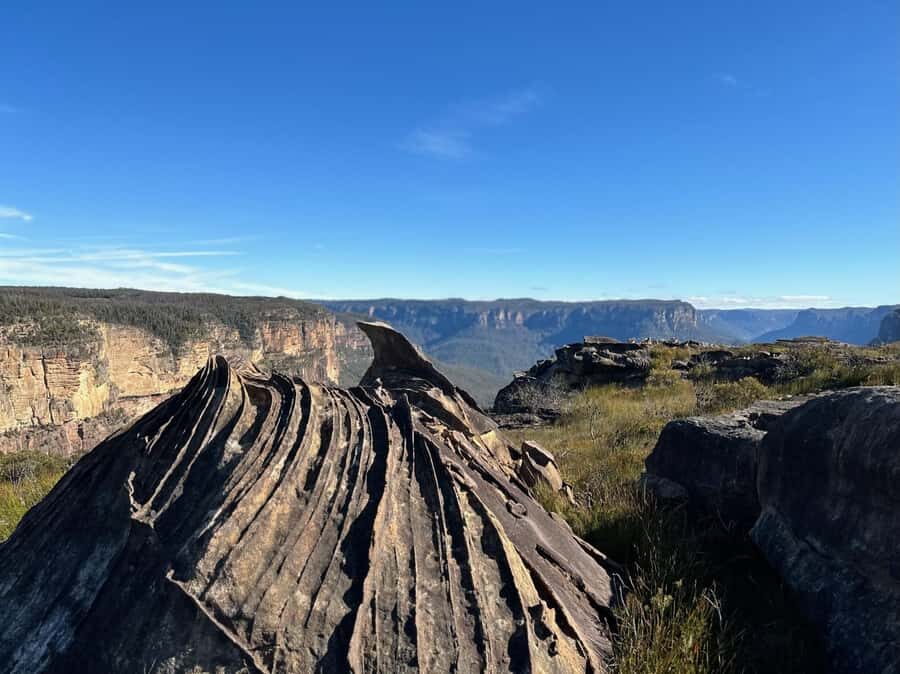 Blue Mountains: Butterbox Point Guided Hike - The Logistics: From Starting Point to Return