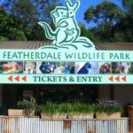 Blue Mountains Exclusive Private Tour - First Stop: Wentworth Falls Lookout