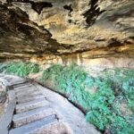 Blue Mountains: Overcliff-Undercliff Guided Hike - Who Would Love This Experience?
