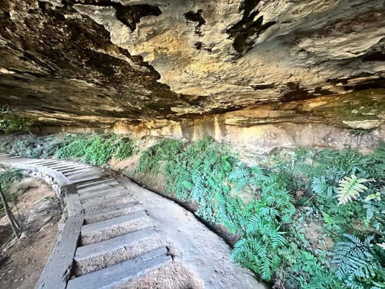 Blue Mountains: Overcliff-Undercliff Guided Hike - Who Would Love This Experience?