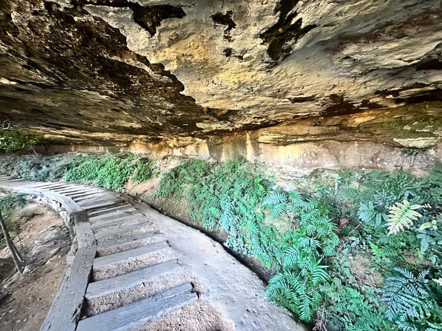 Blue Mountains: Overcliff-Undercliff Guided Hike - Who Would Love This Experience?