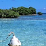 Boat trip EN 1/2 Day in the Grand Ass DE Sac Marin - Setting Sail in Guadeloupe: What to Expect