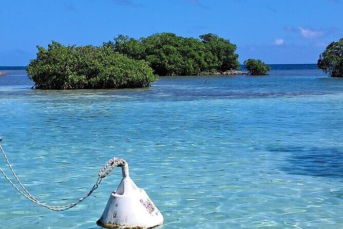Boat trip EN 1/2 Day in the Grand Ass DE Sac Marin - Setting Sail in Guadeloupe: What to Expect