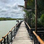 Bohol: Chocolate Hills Tour with Loboc River Cruise & Lunch - Insights from Travelers