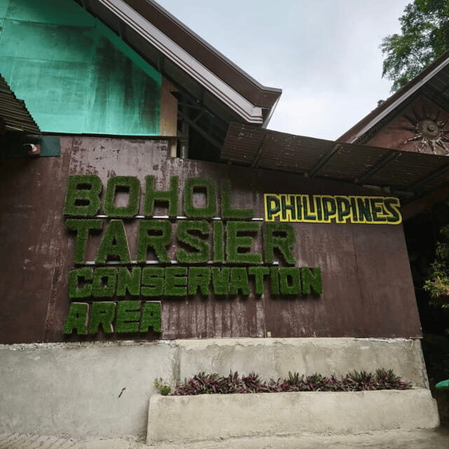 Bohol Chocolate Hills Tour with Loboc River Lunch Buffet - What’s Included and What’s Not