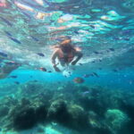 BOHOL: Dolphin Watching, Turtle Swim and Island Party - The Itinerary in Detail