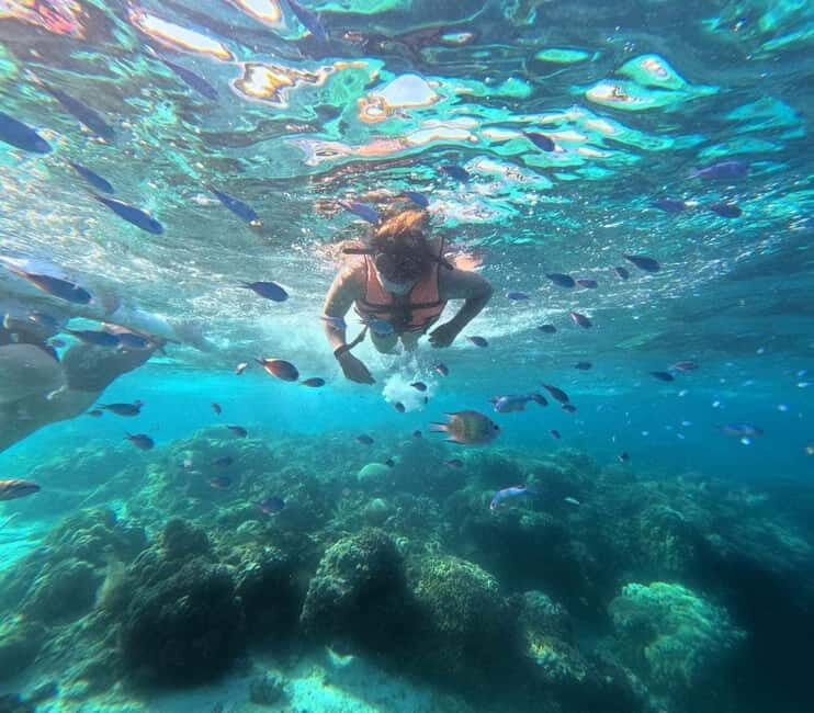 BOHOL: Dolphin Watching, Turtle Swim and Island Party - The Itinerary in Detail