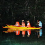 Bohol: Firefly Watching Shared Tour - Who Should Consider This Tour?