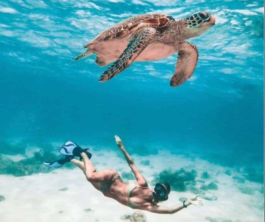 Bohol: Island Hopping with Snorkeling at Balicasag Island - The Logistics: What You Need to Know